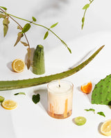 Candle, cactus 12 oz