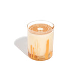 Candle, cactus 12 oz