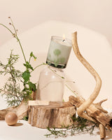 Candle, Teak 12 oz