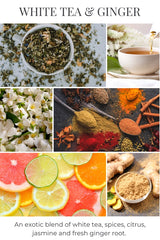 Candle, White Tea & Ginger, 26oz.