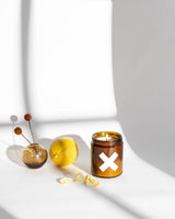 Warm Ginger Pure Soy Candle, 4oz