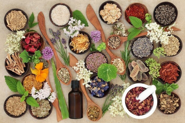 The Art of Herbal Formulation