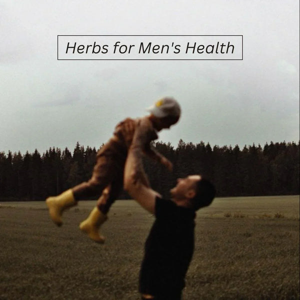 Natural Support for Men's Health