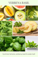 Candle, Verbena Basil